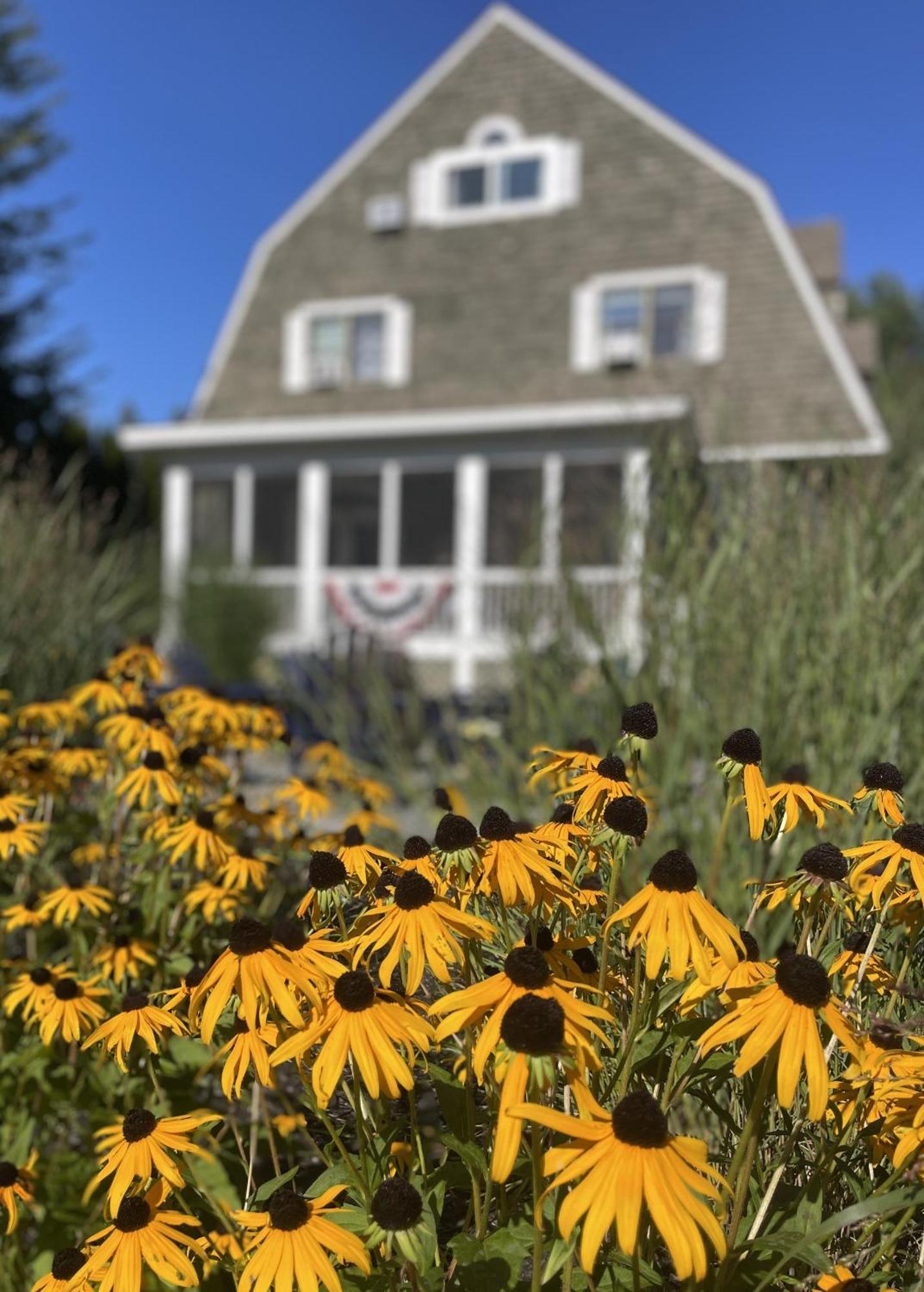 White Sails Inn Kennebunk Buitenkant foto